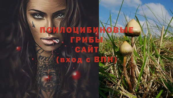 прущий лед Алексеевка