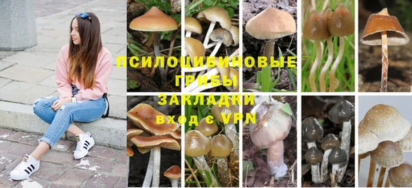 соль курить ск Алзамай